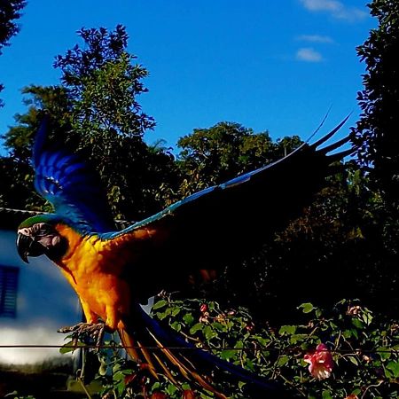 Pousada Canto Dos Passaros Alto Paraíso de Goiás Eksteriør bilde