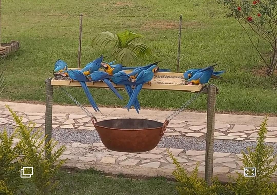 Pousada Canto Dos Passaros Alto Paraíso de Goiás Eksteriør bilde