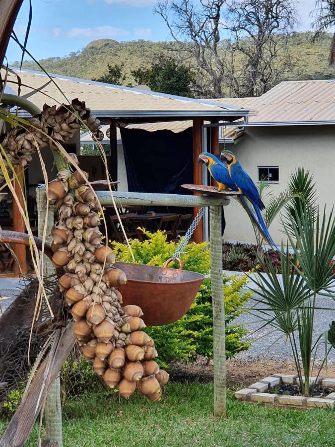 Pousada Canto Dos Passaros Alto Paraíso de Goiás Eksteriør bilde