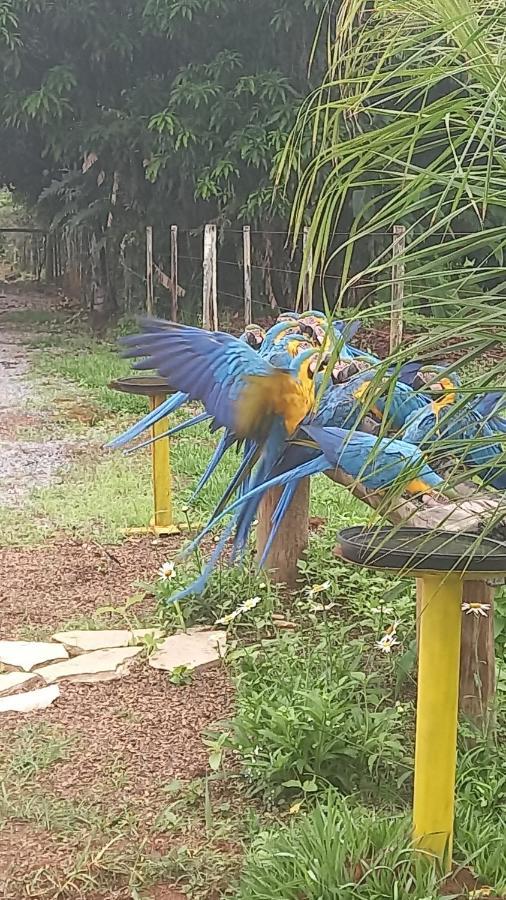 Pousada Canto Dos Passaros Alto Paraíso de Goiás Eksteriør bilde