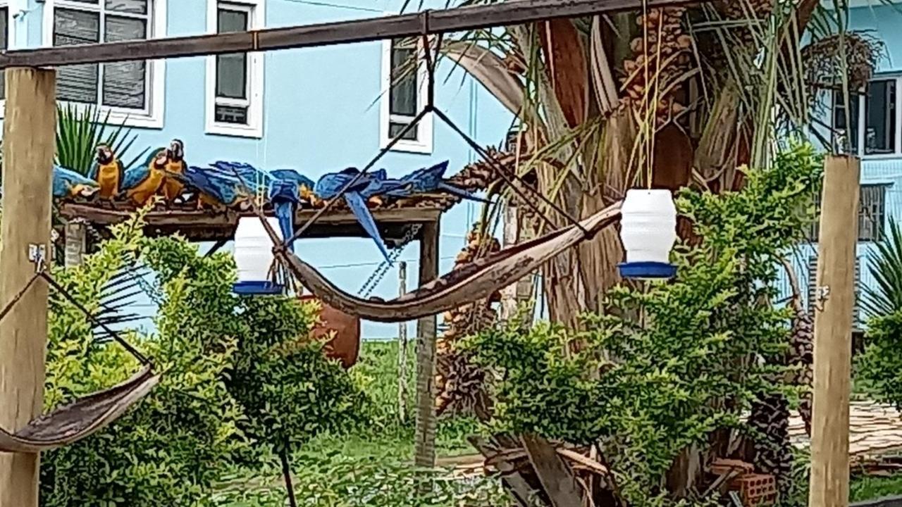 Pousada Canto Dos Passaros Alto Paraíso de Goiás Eksteriør bilde