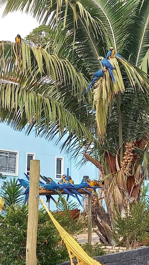 Pousada Canto Dos Passaros Alto Paraíso de Goiás Eksteriør bilde
