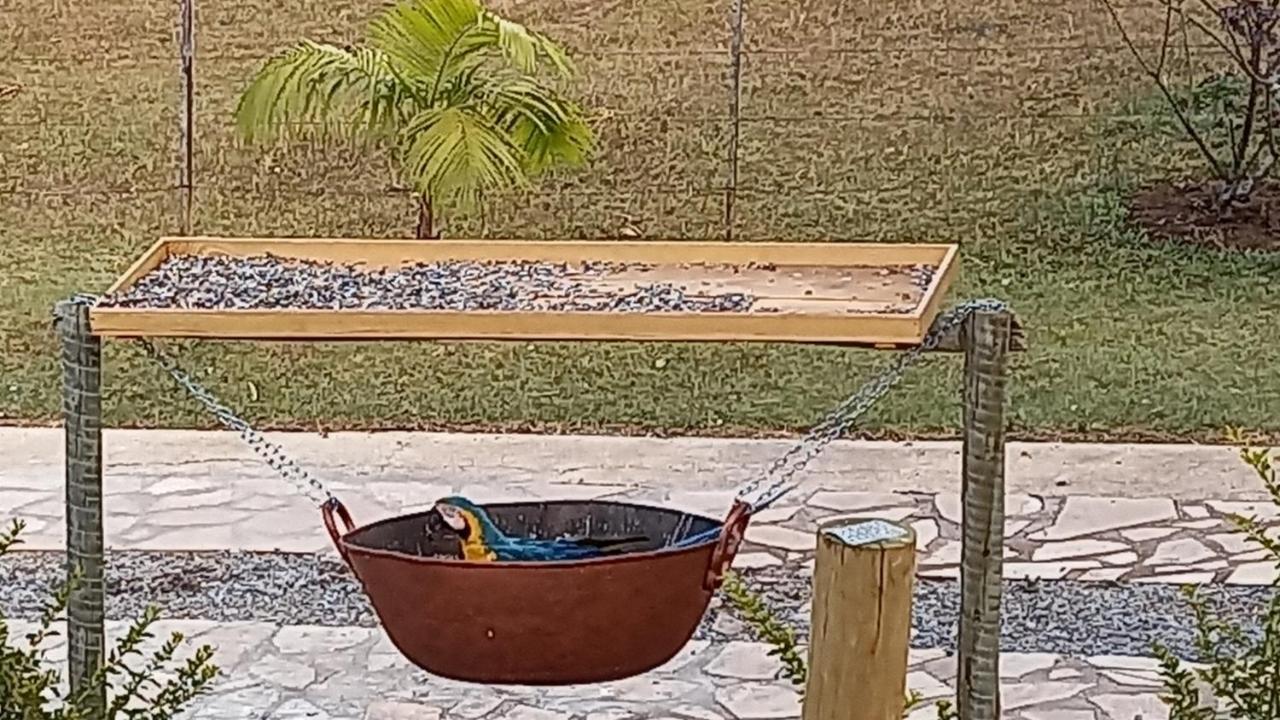 Pousada Canto Dos Passaros Alto Paraíso de Goiás Eksteriør bilde